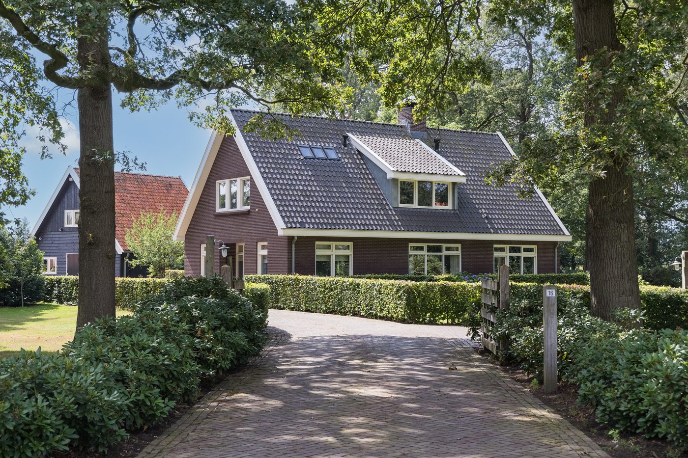 De oprit met hagen en eikenbomen naar het landhuis