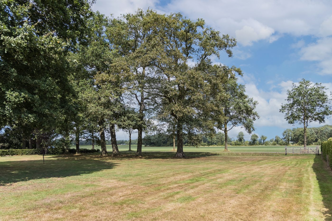 Zicht vanaf het erf over het grasland en de bomen